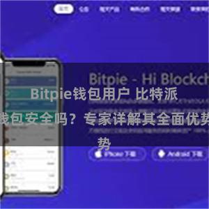 Bitpie钱包用户 比特派钱包安全吗？专家详解其全面优势