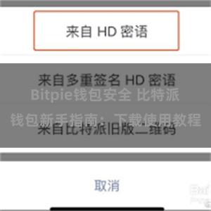 Bitpie钱包安全 比特派钱包新手指南：下载使用教程