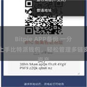 Bitpie APP备份 一分钟上手比特派钱包，轻松管理多链资产