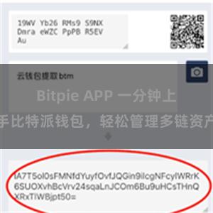 Bitpie APP 一分钟上手比特派钱包，轻松管理多链资产