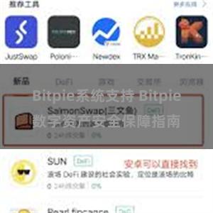 Bitpie系统支持 Bitpie数字资产安全保障指南