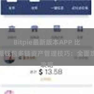 Bitpie最新版本APP 比特派钱包多链资产管理技巧：全面攻略