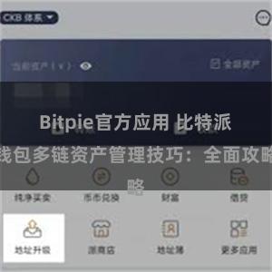 Bitpie官方应用 比特派钱包多链资产管理技巧：全面攻略