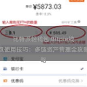 比特派轻钱包 Bitpie钱包使用技巧：多链资产管理全攻略