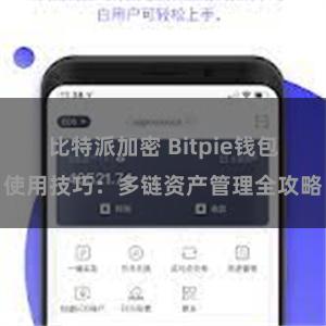 比特派加密 Bitpie钱包使用技巧：多链资产管理全攻略