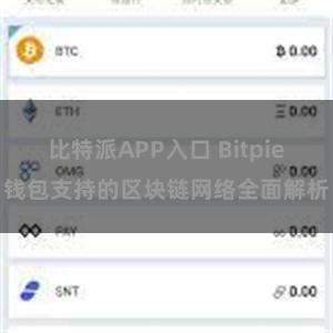 比特派APP入口 Bitpie钱包支持的区块链网络全面解析