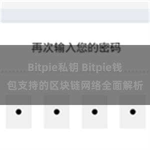 Bitpie私钥 Bitpie钱包支持的区块链网络全面解析