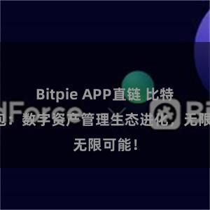 Bitpie APP直链 比特派钱包：数字资产管理生态进化，无限可能！