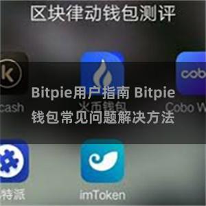 Bitpie用户指南 Bitpie钱包常见问题解决方法