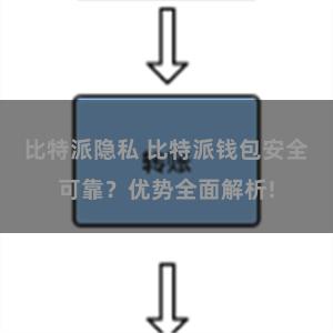 比特派隐私 比特派钱包安全可靠？优势全面解析!