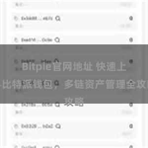 Bitpie官网地址 快速上手比特派钱包，多链资产管理全攻略