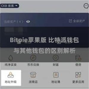 Bitpie苹果版 比特派钱包与其他钱包的区别解析