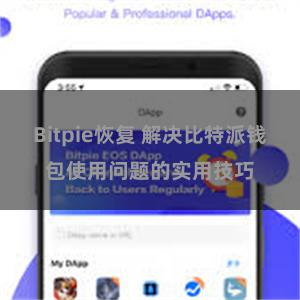 Bitpie恢复 解决比特派钱包使用问题的实用技巧