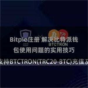 Bitpie注册 解决比特派钱包使用问题的实用技巧