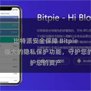 比特派安全保障 Bitpie钱包：强大的隐私保护功能，守护您的资产