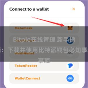 Bitpie在线管理 新手指南：下载并使用比特派钱包必知事项