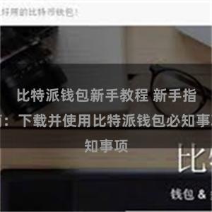 比特派钱包新手教程 新手指南：下载并使用比特派钱包必知事项