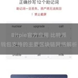 Bitpie官方应用 比特派钱包支持的主要区块链网络解析