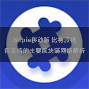 Bitpie移动版 比特派钱包支持的主要区块链网络解析