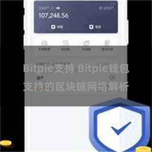 Bitpie支持 Bitpie钱包支持的区块链网络解析