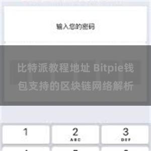 比特派教程地址 Bitpie钱包支持的区块链网络解析