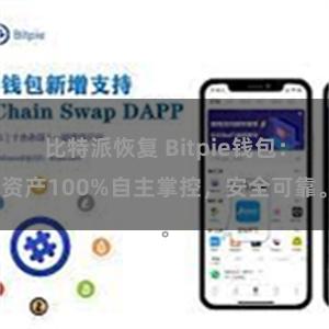 比特派恢复 Bitpie钱包：资产100%自主掌控，安全可靠。