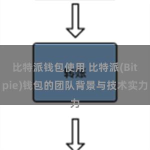 比特派钱包使用 比特派(Bitpie)钱包的团队背景与技术实力