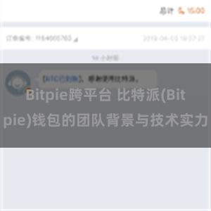 Bitpie跨平台 比特派(Bitpie)钱包的团队背景与技术实力