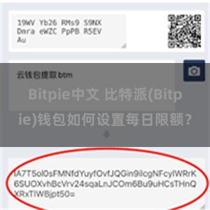 Bitpie中文 比特派(Bitpie)钱包如何设置每日限额？