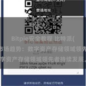 Bitpie安全教程 比特派(Bitpie)钱包市场趋势：数字资产存储领域领先者持续发展。