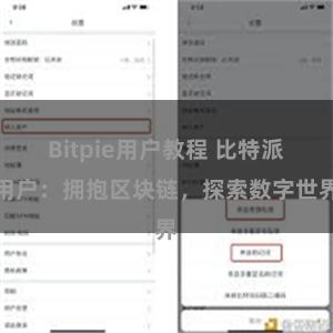 Bitpie用户教程 比特派用户：拥抱区块链，探索数字世界