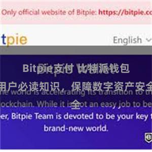 Bitpie支付 比特派钱包用户必读知识，保障数字资产安全