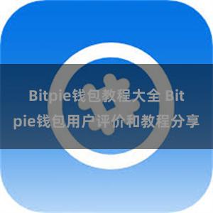 Bitpie钱包教程大全 Bitpie钱包用户评价和教程分享
