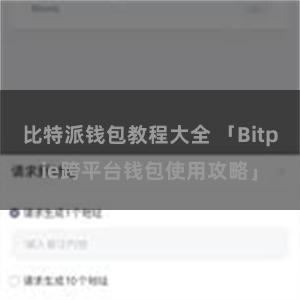 比特派钱包教程大全 「Bitpie跨平台钱包使用攻略」