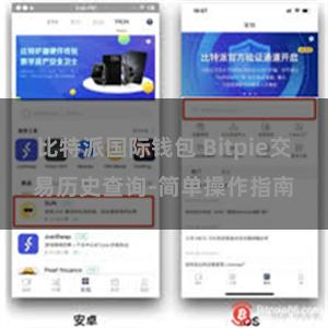 比特派国际钱包 Bitpie交易历史查询-简单操作指南