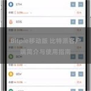 Bitpie移动版 比特派客户端简介与使用指南