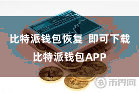比特派钱包恢复  即可下载比特派钱包APP